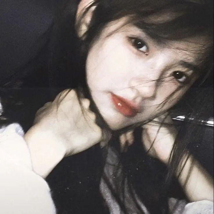 淑女鸟